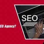 What Is an SEO Agency