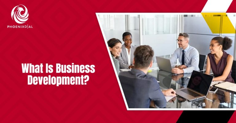 what is business development