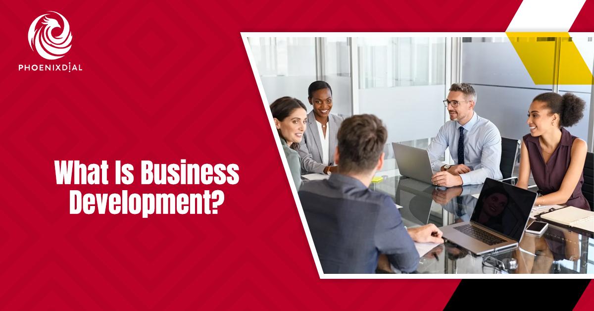 what is business development